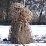 Zu Zweit gehts bessers