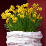 Der Schwaechere gibt nach