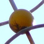 Melanchthon in Nuernberg