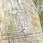 Oberasbacher Seenland