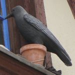 Im Schatten der Burg