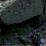 Das Spiel mit dem Koenig