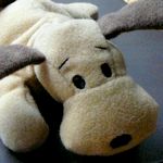 Kuriose kleine Knolle