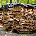 Die Sterne luegen nicht