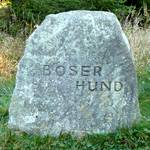 Knurrender Waldbriefkasten