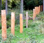 Des Kaisers neue Kleider