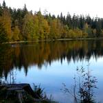 Harz Urlaub Freundschaftscache