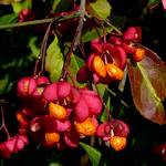 Tagsueber in der Oberpflaz 3