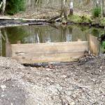 Hunderunde Nürnberg Russenwiese