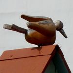 Orange twentyeight 1