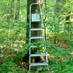 Heute schon geknackt?