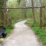 ungetruebte Leidensfaehigkeit