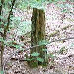 No Country For Old Men