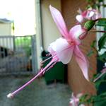 Krankenhaus Martha-Maria