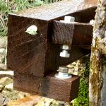 Der richtige Riecher