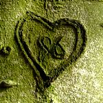 Aussicht am Panoramaweg