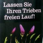 Schild mit Blumen und Aufschrift: Lassen Sie Ihren Trieben freien Lauf