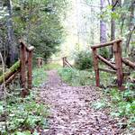 2 kleine Brücken im Wald