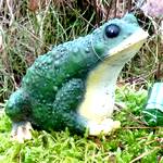 Plastikfrosch mit Cachedöschen