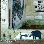 Fischfang entladen in Pula