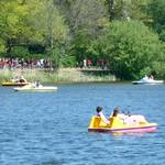 Viele Boote auf dem Dutzendteich