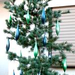 Weihnachtsbaum mit laenglichen Kugeln