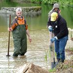 Beim Anpflanzen von Roehricht am Nummernweiher in Nuernberg