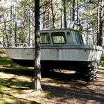 Kleines Boot im Wald abgestellt