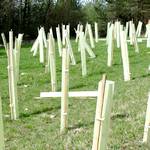 Wiese mit gruenen rechteckigen senkrechten Rohren, wohl als Pflanzschutz