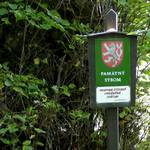 Schild bei der grossen Linde