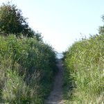 Durchgang durch die Duene zum Meer
