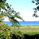 Schoene Aussicht aufs Meer