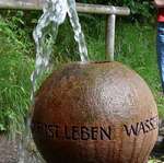 Verwandlungskuenstler