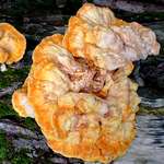 Ueberblick verschaffen